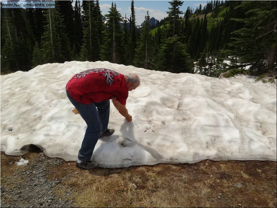 Mt Rainier 18.JPG