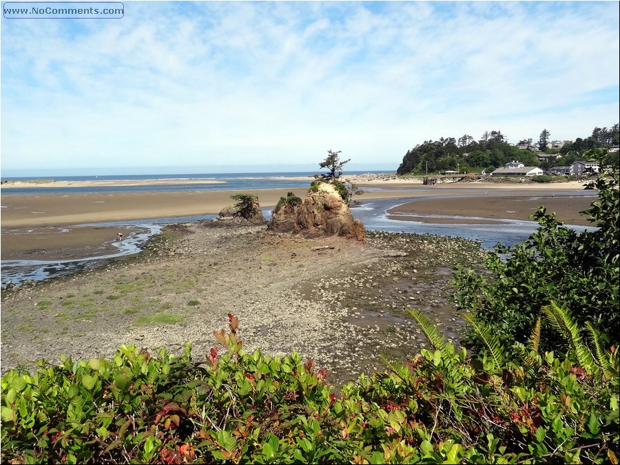 Oregon Coast 06.JPG