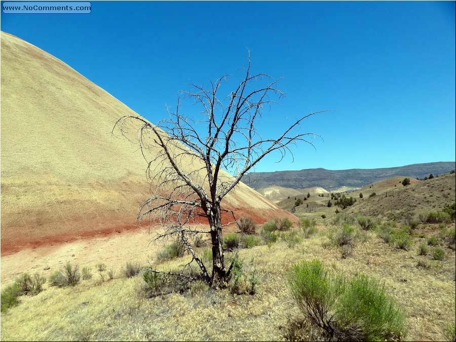 Oregon Painted Hills 13.JPG