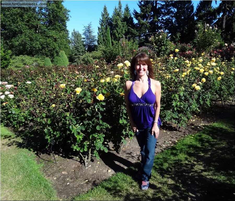 Portland Rose Garden 02.JPG