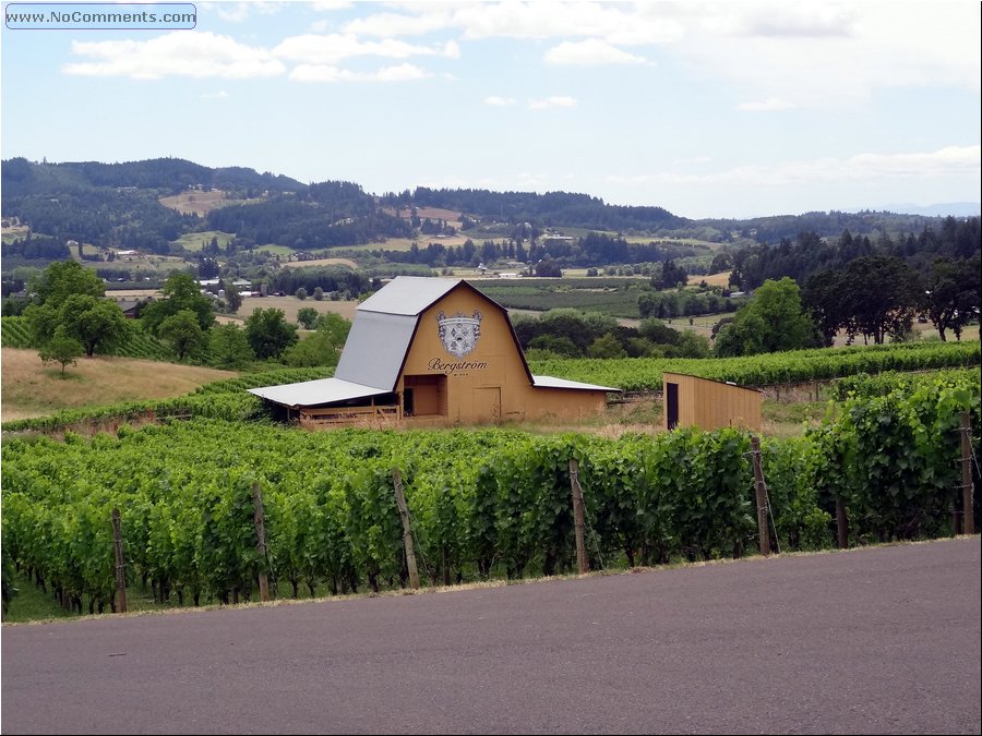 Willamette Valley Wineries 09.JPG