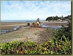 Oregon Coast 06.JPG