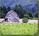 Willamette Valley Wineries 08.JPG