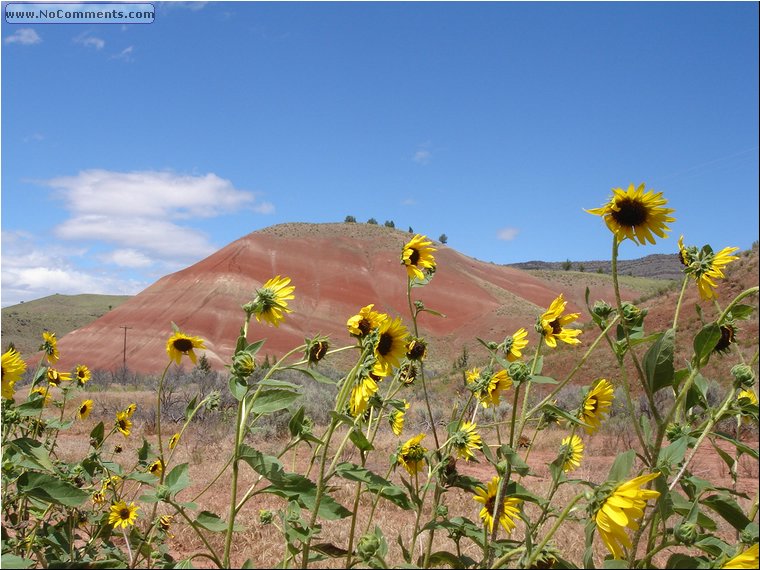 Painted Hills 1.JPG