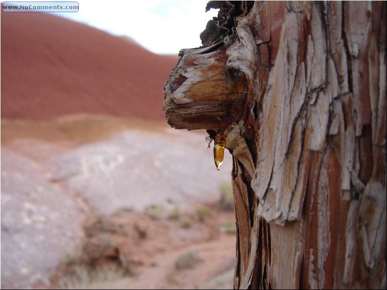 Painted Hills drop 2.JPG