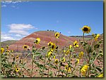 Painted Hills 1.JPG