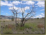 Painted Hills 6.JPG