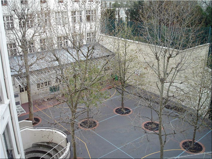 Our court yard2.jpg