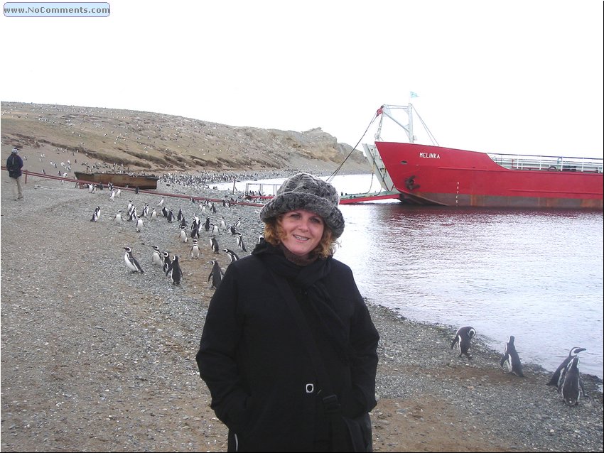 Magdalena_Island_Penguins 8.JPG