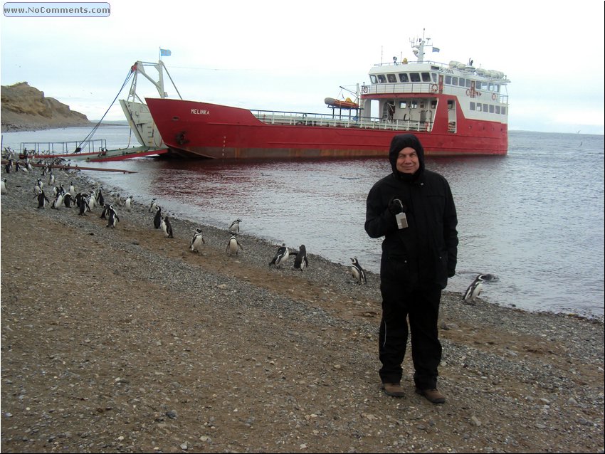 Magdalena_Island_Penguins 9a.JPG