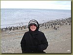 Magdalena_Island_BIG_Penguin.JPG