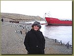 Magdalena_Island_Penguins 8.JPG