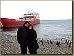 Magdalena_Island_Penguins 9b.JPG