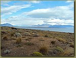 El Calafate desert.JPG