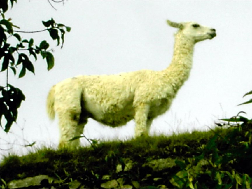 Peru 092.jpg