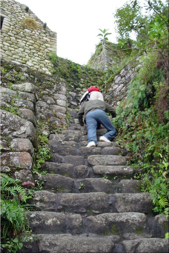 Machu Picchu 045.jpg