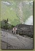 Machu Picchu 041.jpg