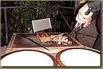 Roman Restaurant - Chianina Beef 02.JPG