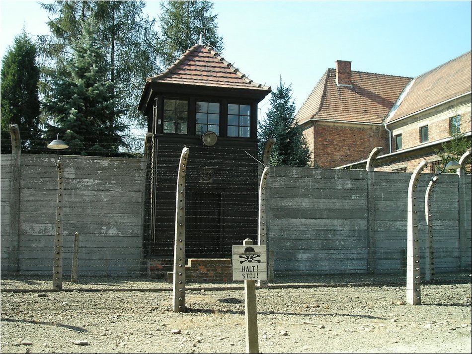 Auschwitz 7.jpg
