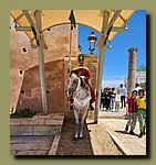 20240506_164701b.jpg