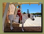 20240506_164701l.jpg