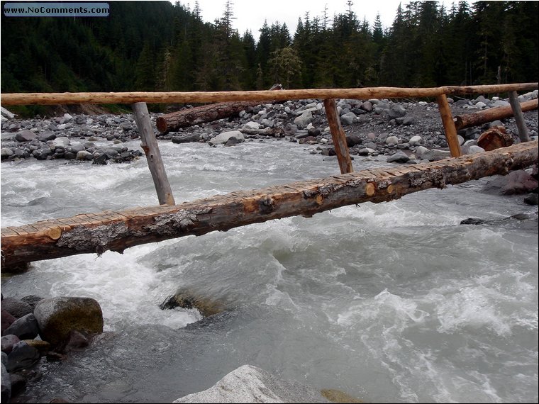 Mt Rainier National Park 5.JPG