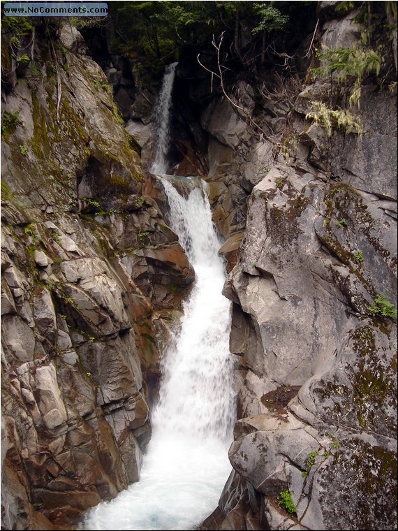 Mt Rainier National Park 7.JPG