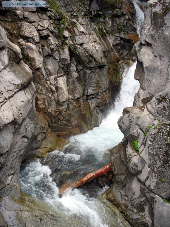 Mt Rainier National Park 7b.jpg