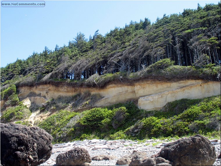 Oregon Coast 6.jpg