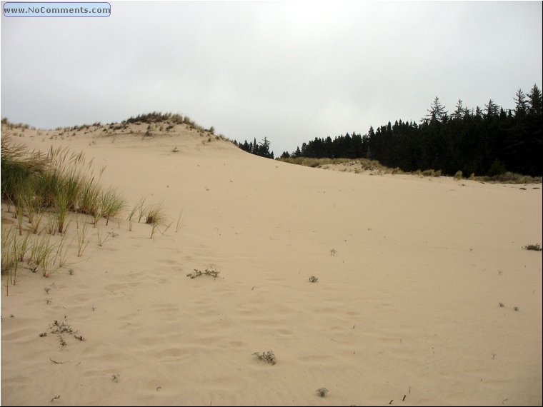 Oregon Sand Dunes 1.jpg