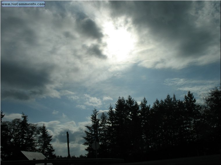 Oregon Sun.jpg