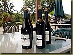 Airlie Winery 2.JPG