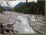 Mt Rainier National Park 3.JPG