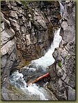 Mt Rainier National Park 7b.jpg