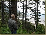 Oregon Coast 2.jpg