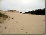 Oregon Sand Dunes 1.jpg