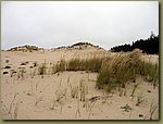 Oregon Sand Dunes.jpg
