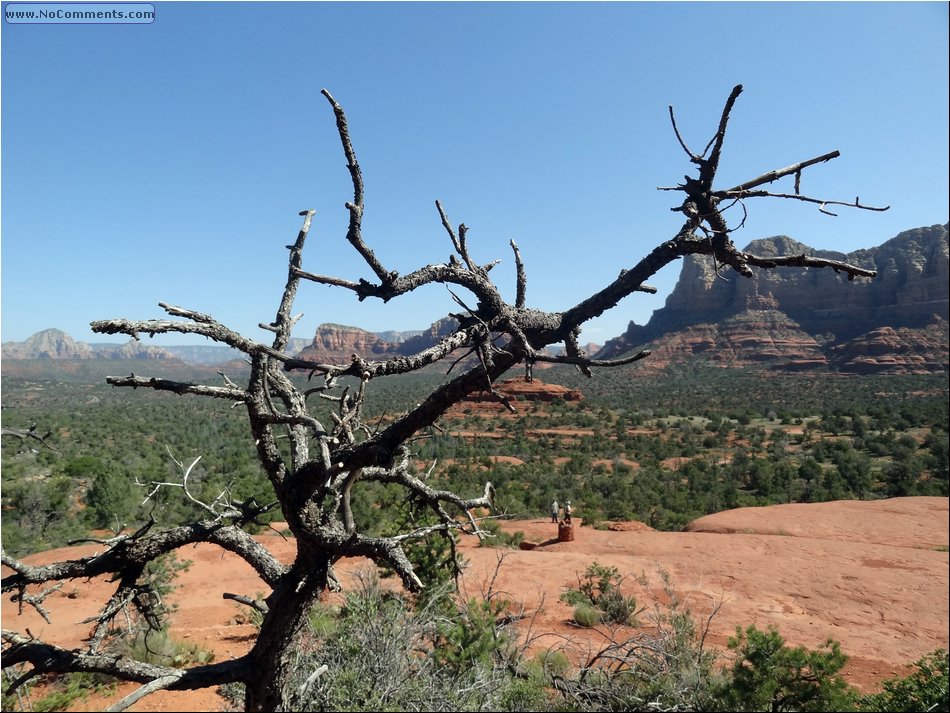 Bell mountain hike 17.JPG