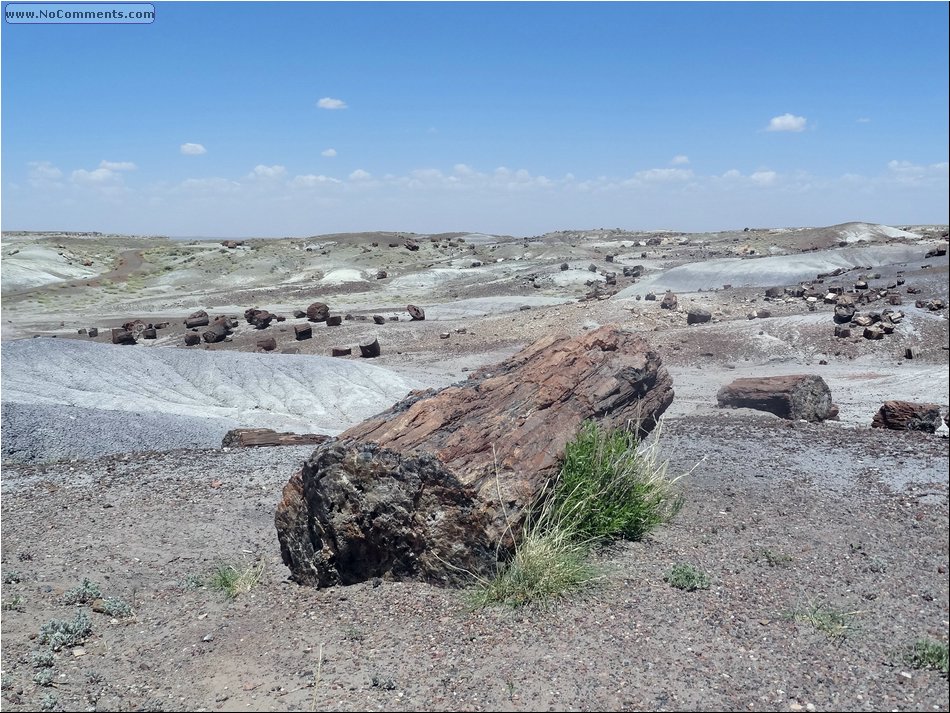 Painted desert 01.JPG