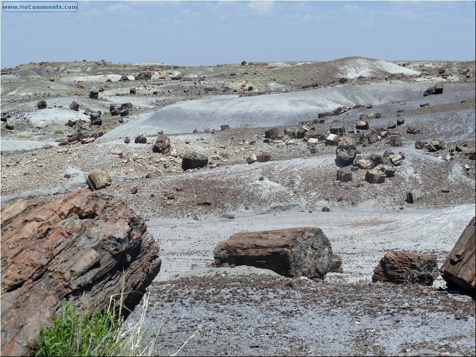 Painted desert 02.JPG