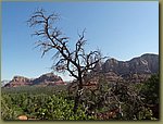 Bell mountain hike 15.JPG