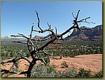 Bell mountain hike 17.JPG