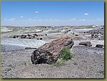 Painted desert 01.JPG