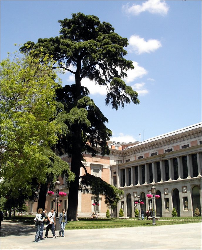 Madrid Prado.JPG