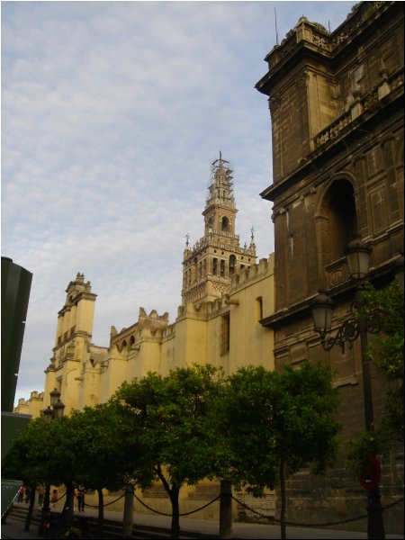 Photo  10.JPG