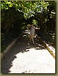 Photo  85.JPG