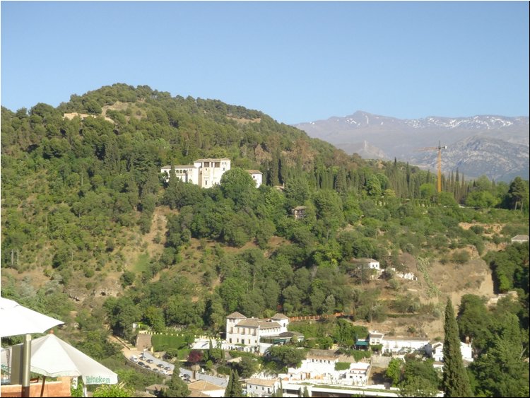Photo  25.JPG