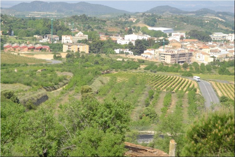 Clos Martinet 7.JPG