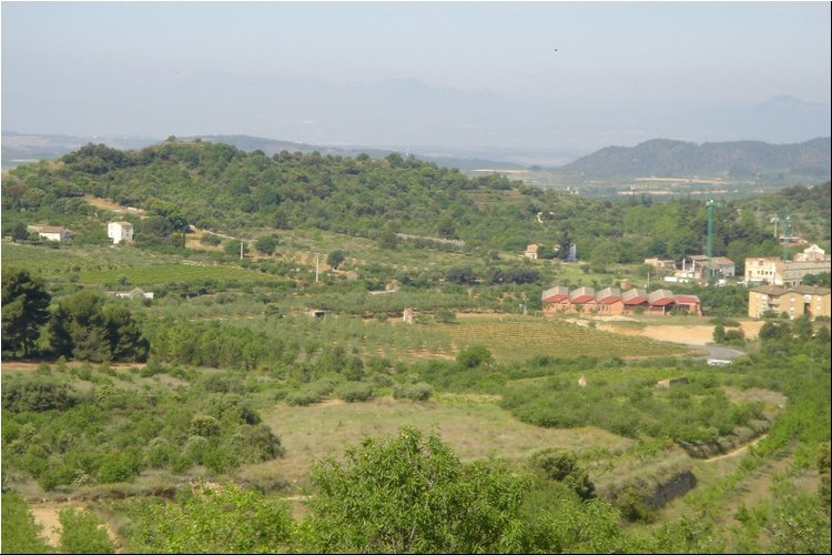 Clos Martinet 9.JPG