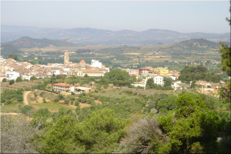 Clos Martinet 9A.JPG